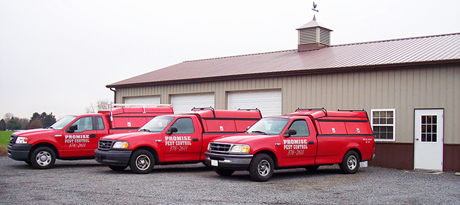 Promise Pest Control fleet of red service trucks